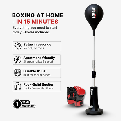 zyrexy Boxing Pro