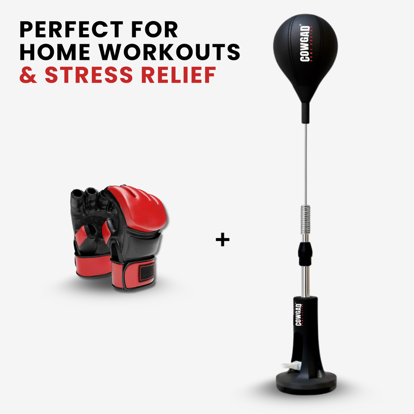 zyrexy Boxing Pro