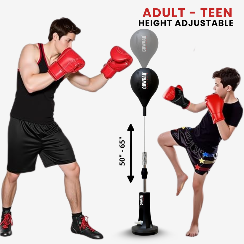 zyrexy Boxing Pro