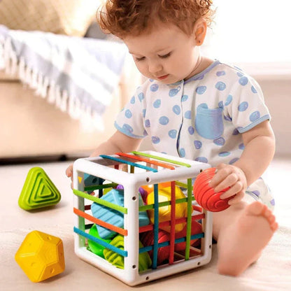 zyrexy Box - Educational Box