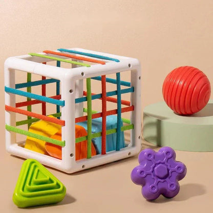 zyrexy Box - Educational Box