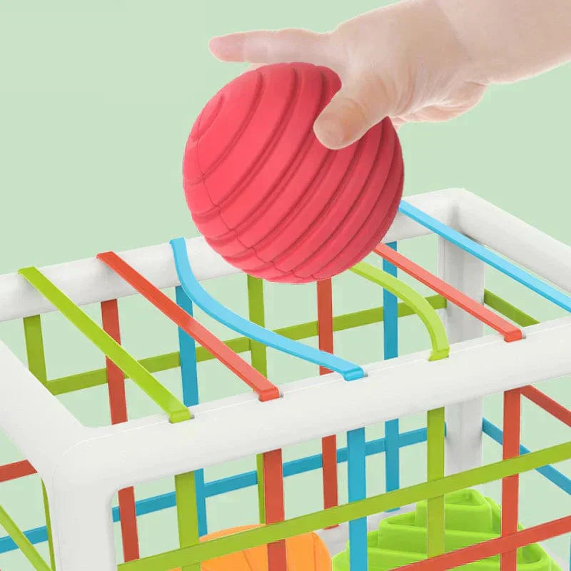 zyrexy Box - Educational Box
