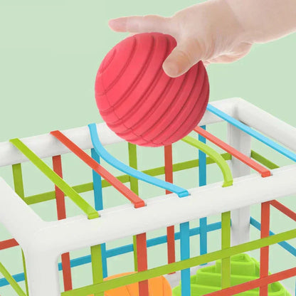 zyrexy Box - Educational Box