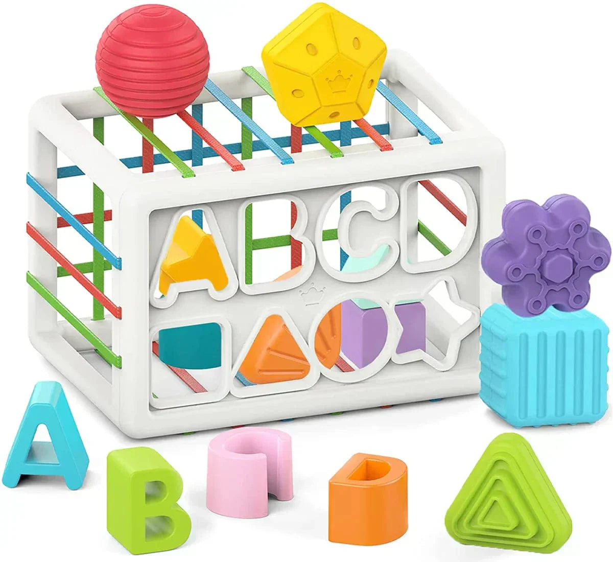 zyrexy Box - Educational Box