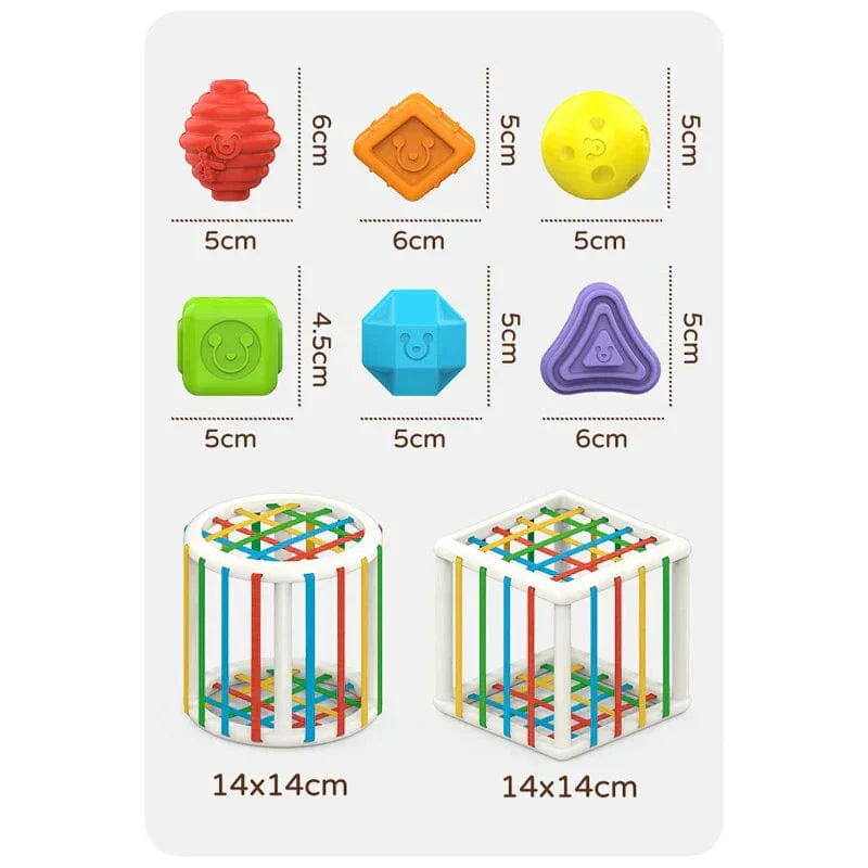 zyrexy Box - Educational Box