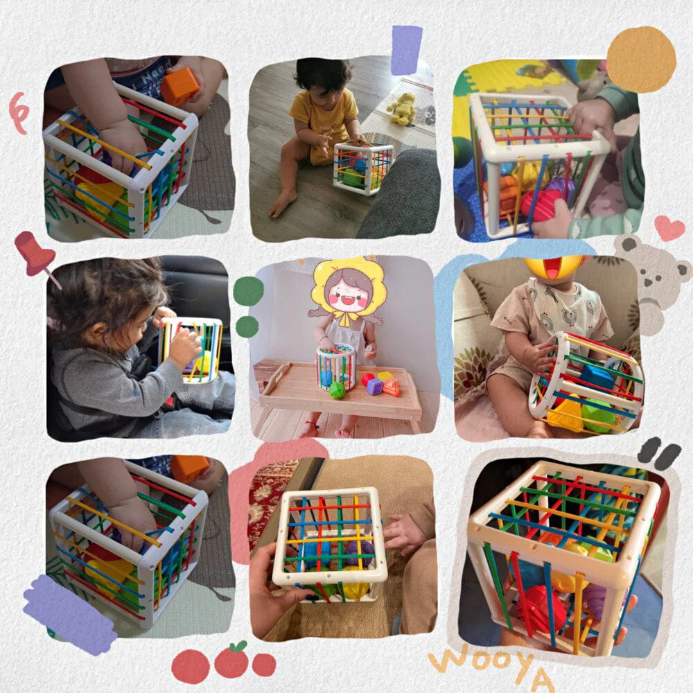 zyrexy Box - Educational Box