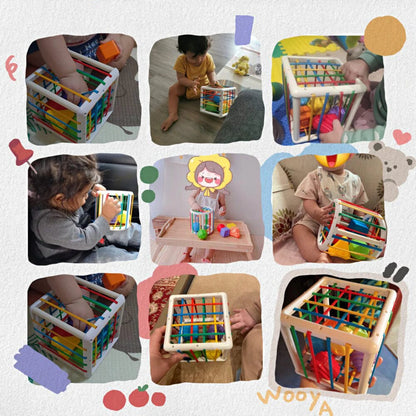 zyrexy Box - Educational Box